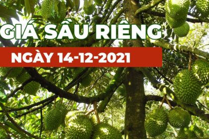 Vietnam durian prices December 14, 2021