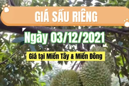 Vietnam durian prices December 3, 2021