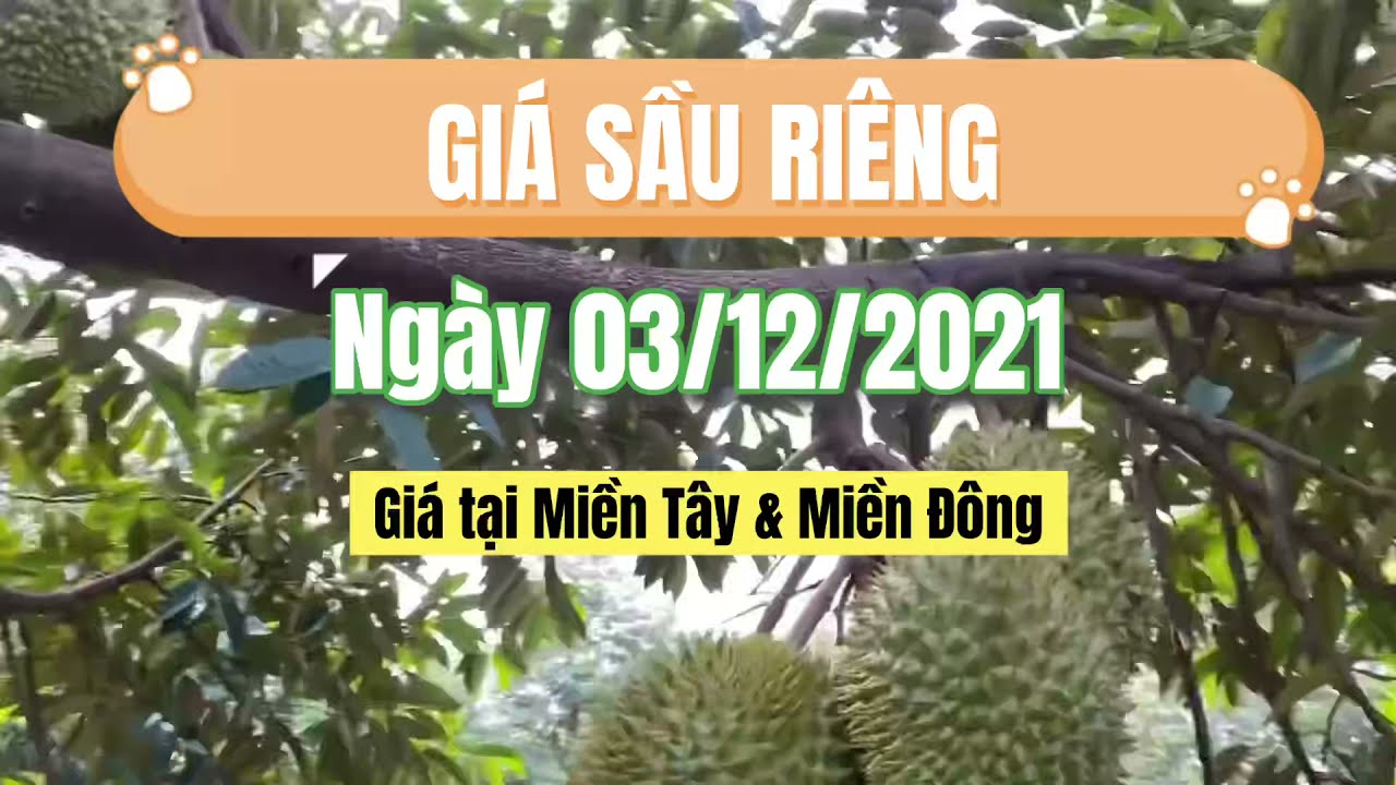 Vietnam durian prices December 3, 2021