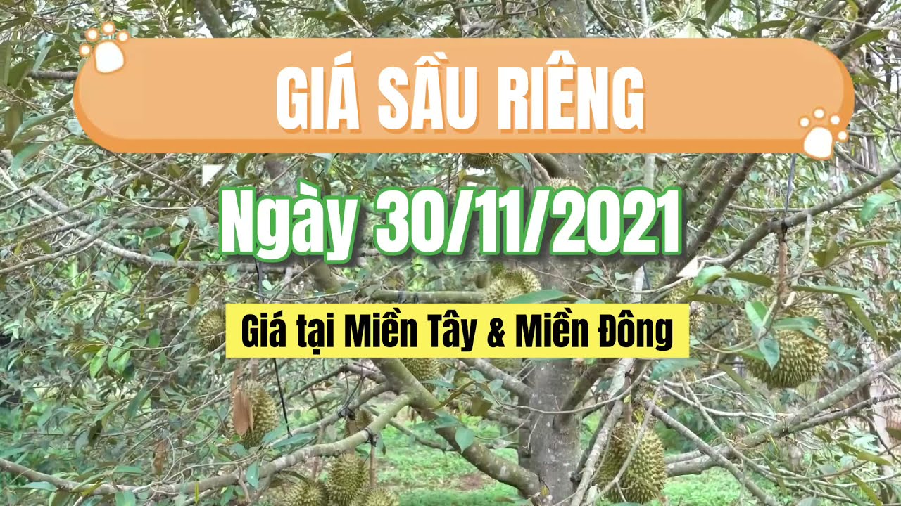 Vietnam durian prices November 30, 2021