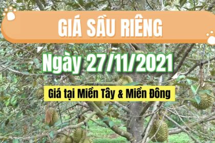 Vietnam durian prices November 27, 2021