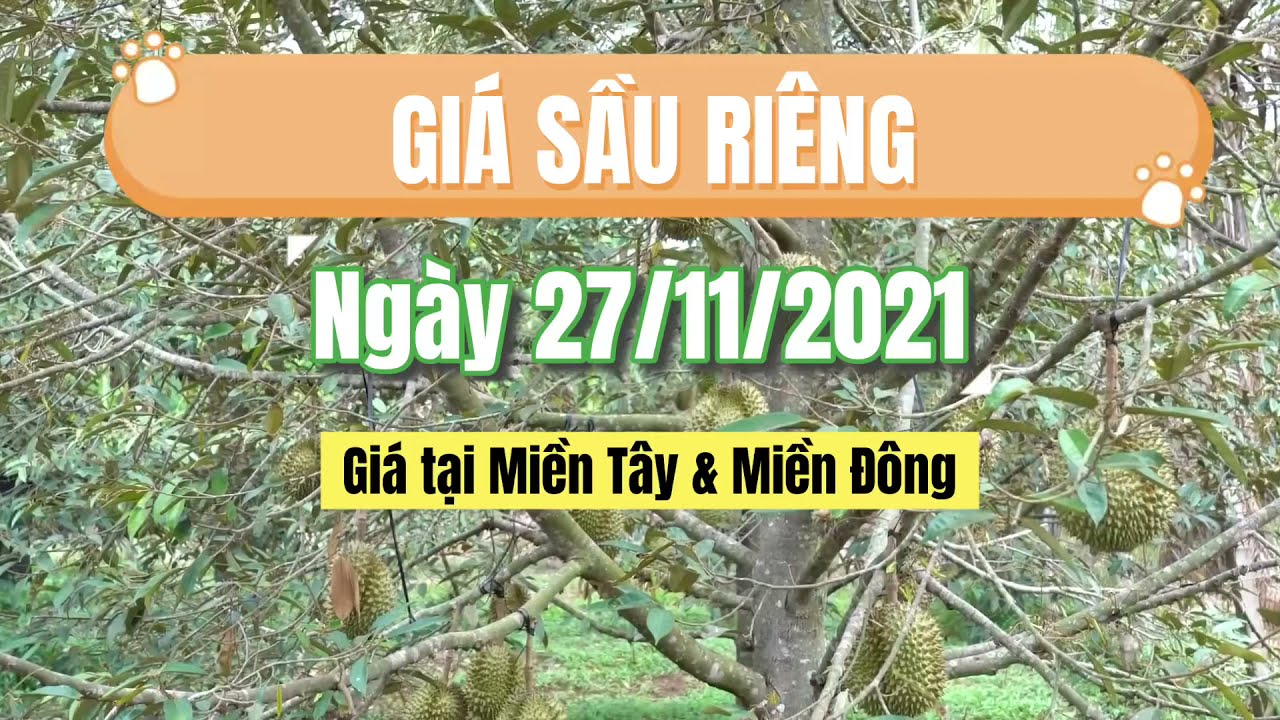 Vietnam durian prices November 27, 2021