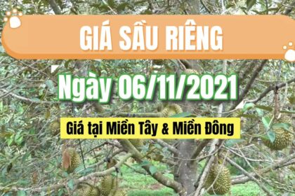 Vietnam durian prices November 6, 2021