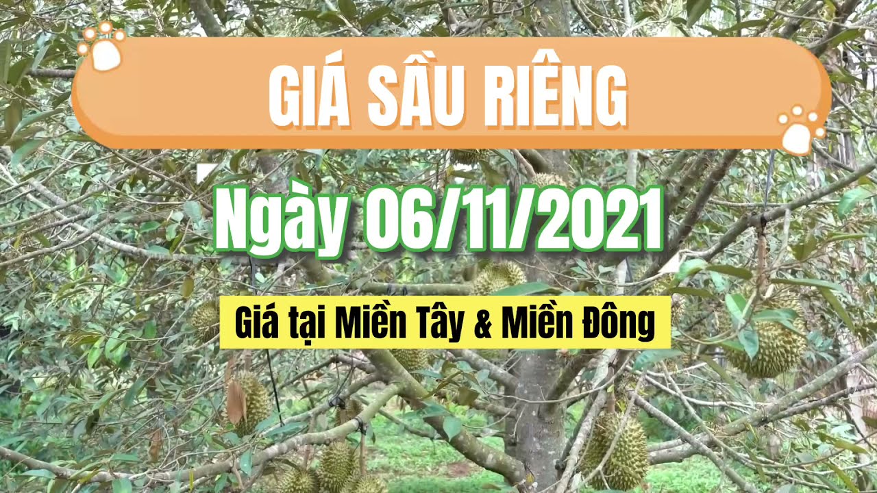 Vietnam durian prices November 6, 2021