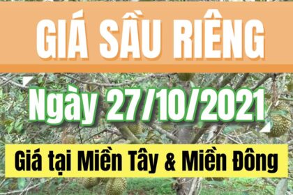 Vietnam durian prices October 27, 2021