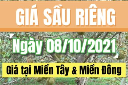 Vietnam durian prices October 8, 2021