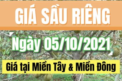 Vietnam durian prices October 5, 2021