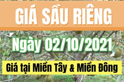 Vietnam durian prices October 2, 2021