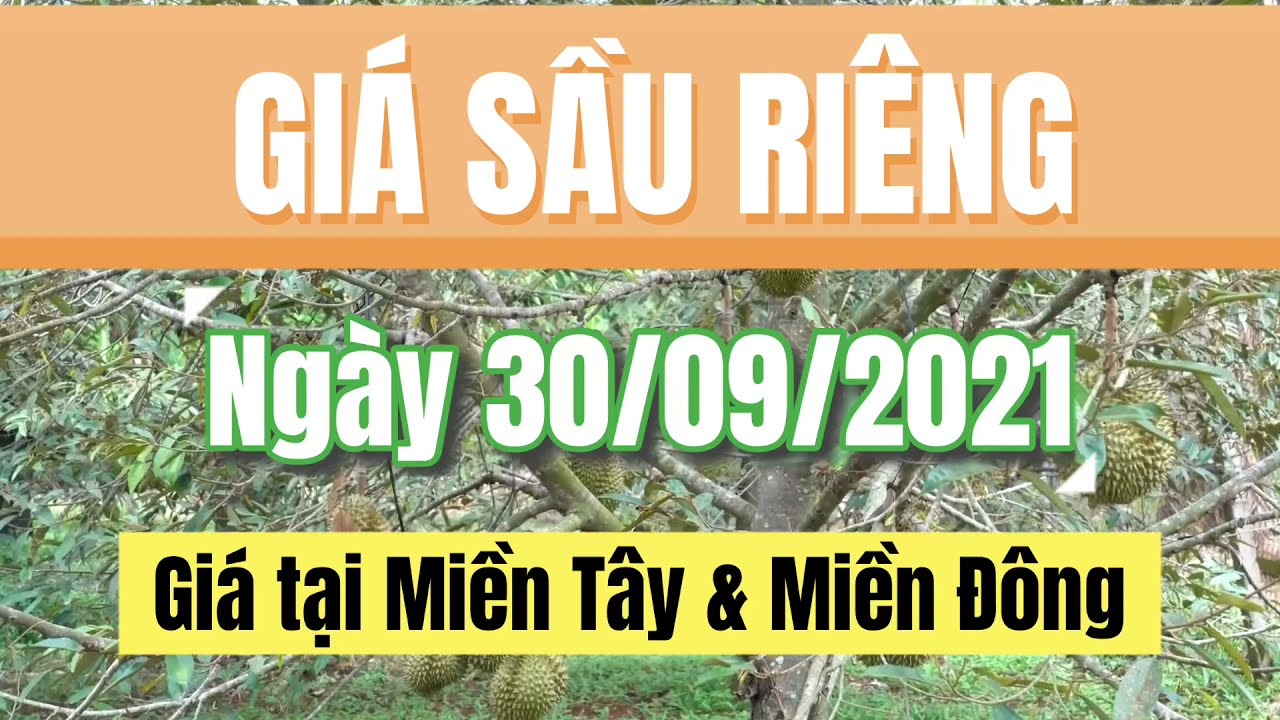 Vietnam durian prices September 30, 2021
