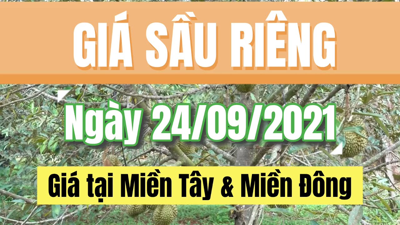 Vietnam durian prices September 24, 2021