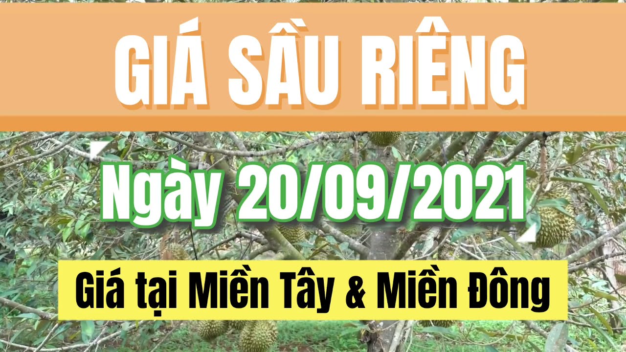 Vietnam durian prices September 20, 2021