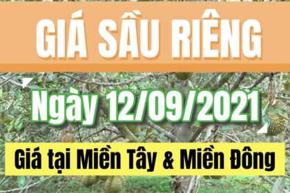 Vietnam durian prices September 12, 2021