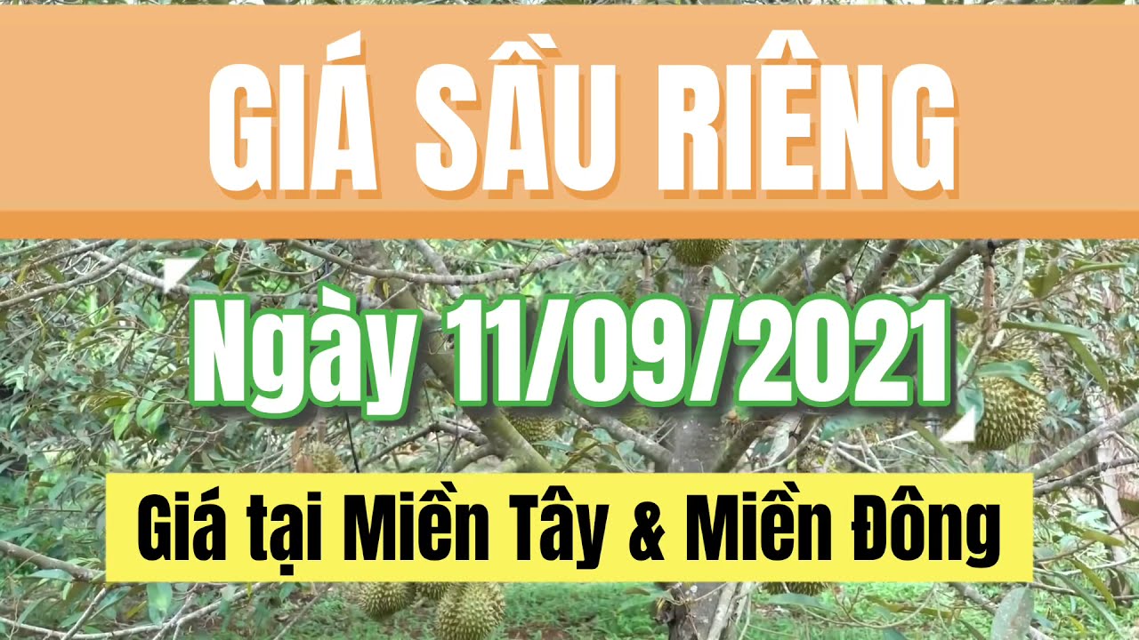 Vietnam durian prices September 11, 2021