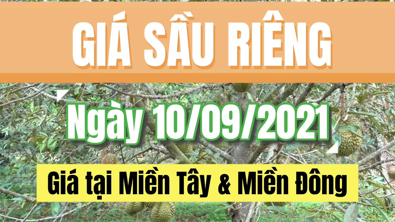 Vietnam durian prices September 10, 2021