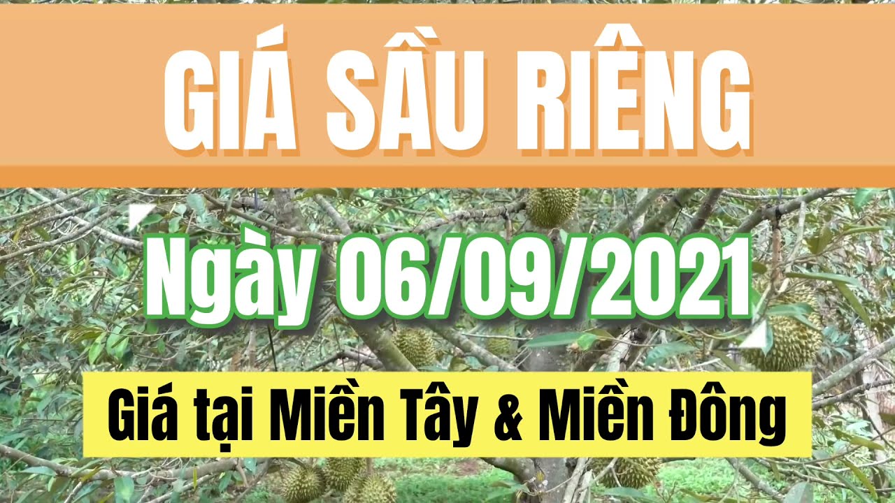 Vietnam durian prices September 6, 2021