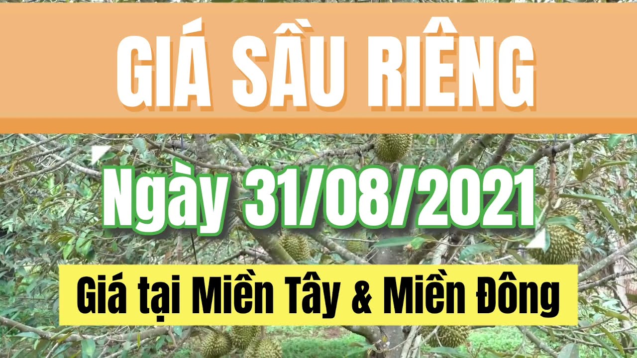 Vietnam durian prices August 31, 2021