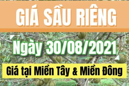 Vietnam durian prices August 30, 2021