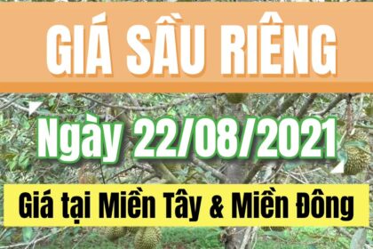 Vietnam durian prices August 22, 2021