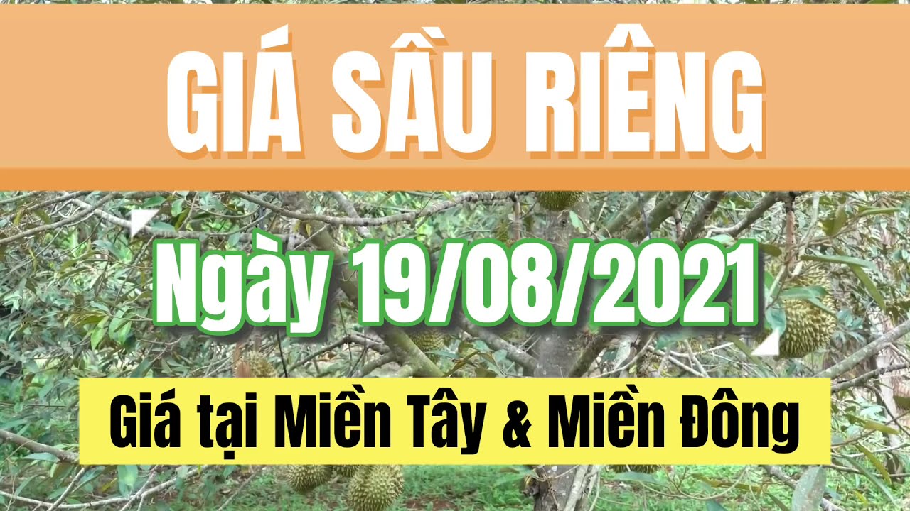 Vietnam durian prices August 19, 2021