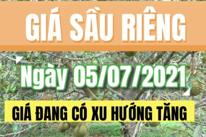 Vietnam durian prices July 5, 2021