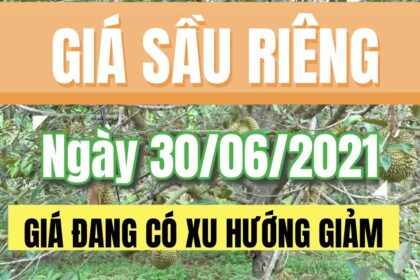 Vietnam durian prices June 30, 2021