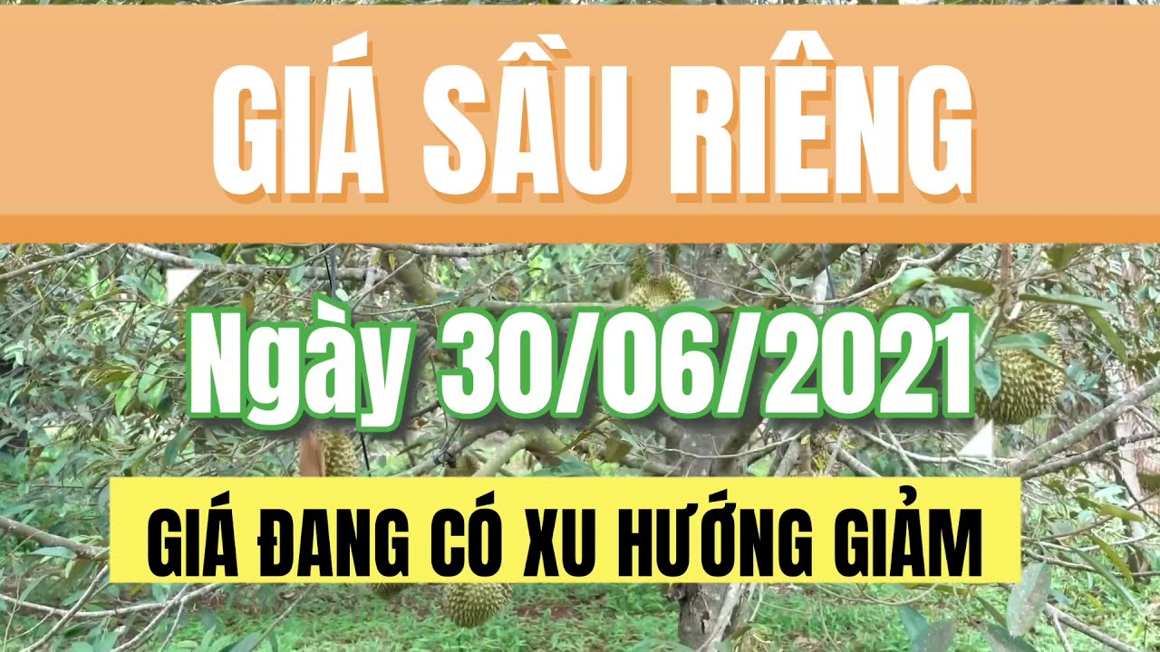 Vietnam durian prices June 30, 2021