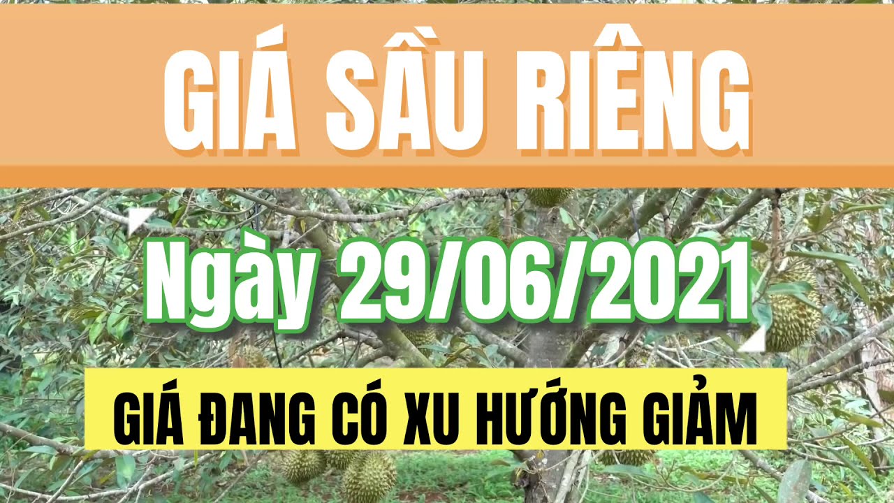 Vietnam durian prices June 29, 2021