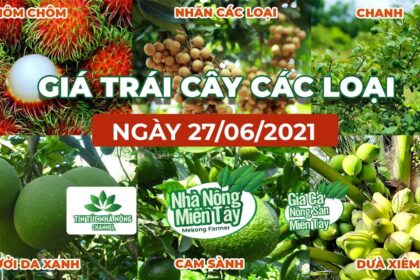 Vietnam fresh fruit prices June 27, 2021