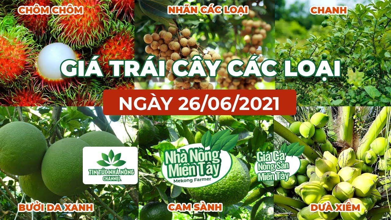 Vietnam fresh fruit prices June 26, 2021