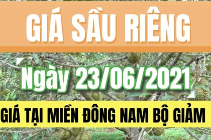 Vietnam durian prices June 23, 2021
