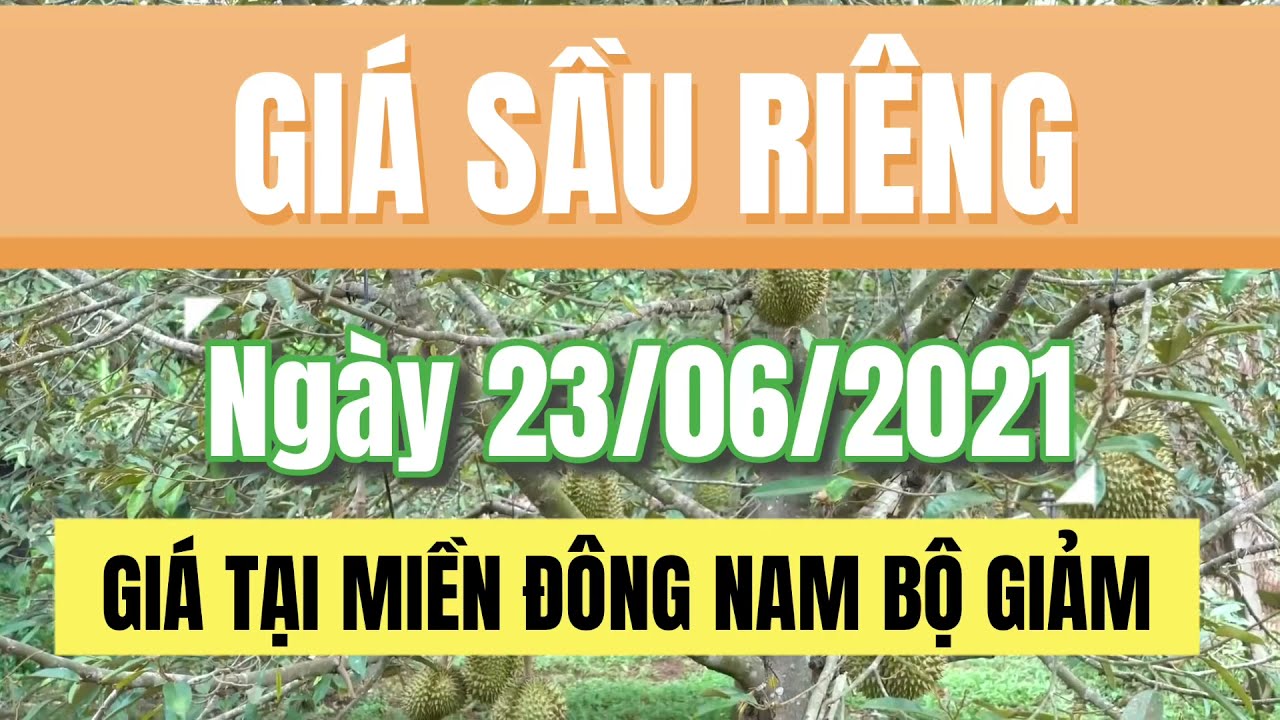 Vietnam durian prices June 23, 2021