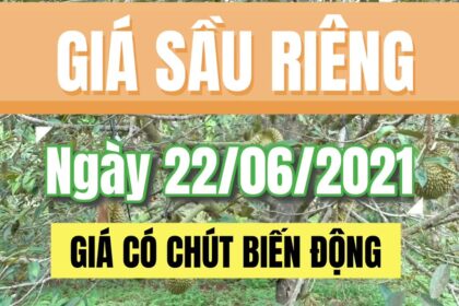 Vietnam durian prices June 22, 2021