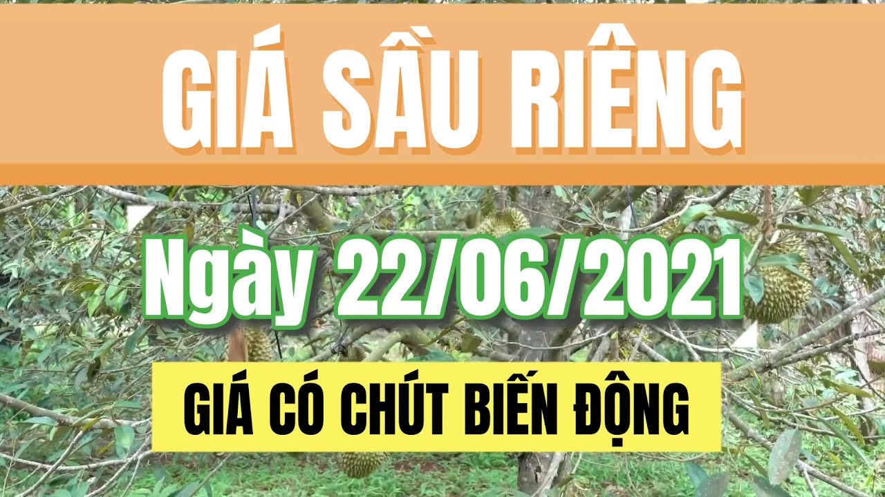 Vietnam durian prices June 22, 2021