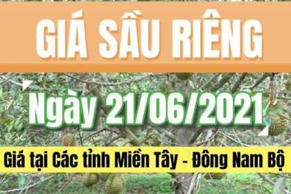 Vietnam durian prices June 21, 2021