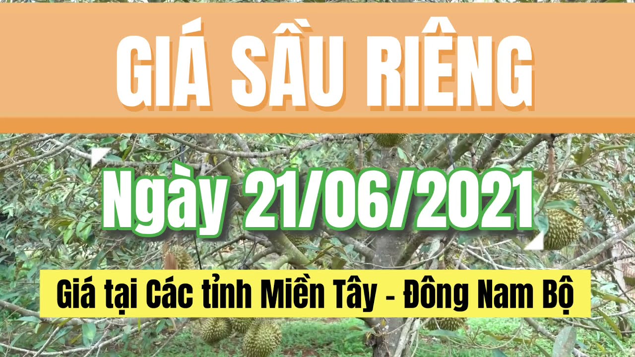 Vietnam durian prices June 21, 2021
