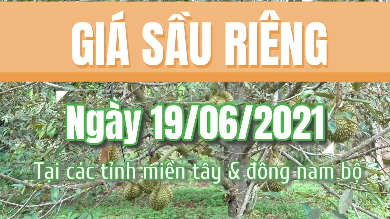 Vietnam durian prices June 19, 2021