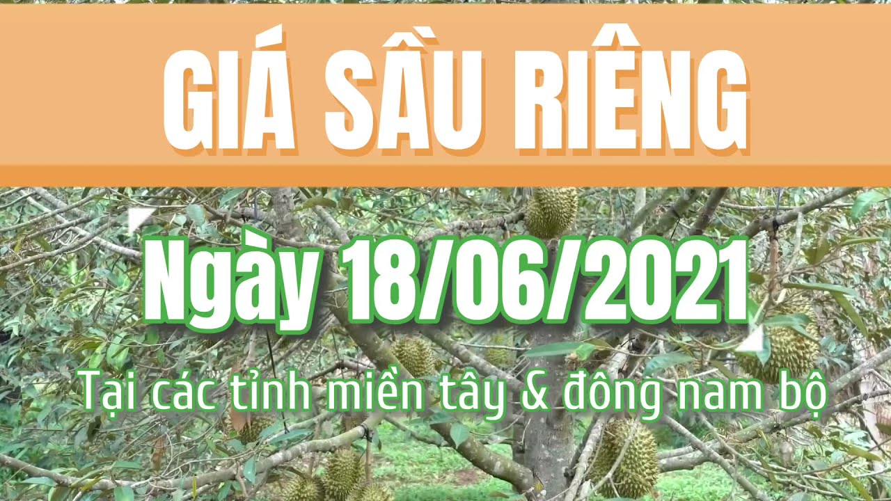 Vietnam durian prices June 18, 2021
