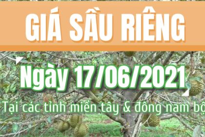 Vietnam durian prices June 17, 2021