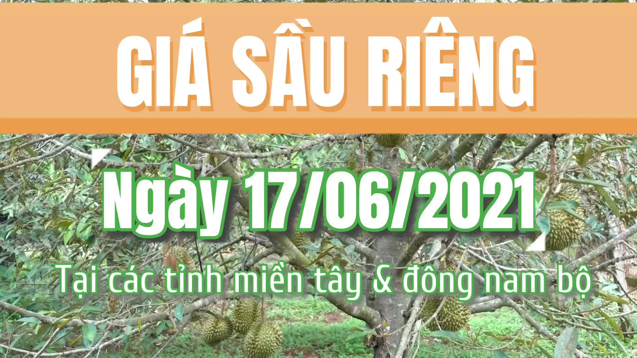 Vietnam durian prices June 17, 2021