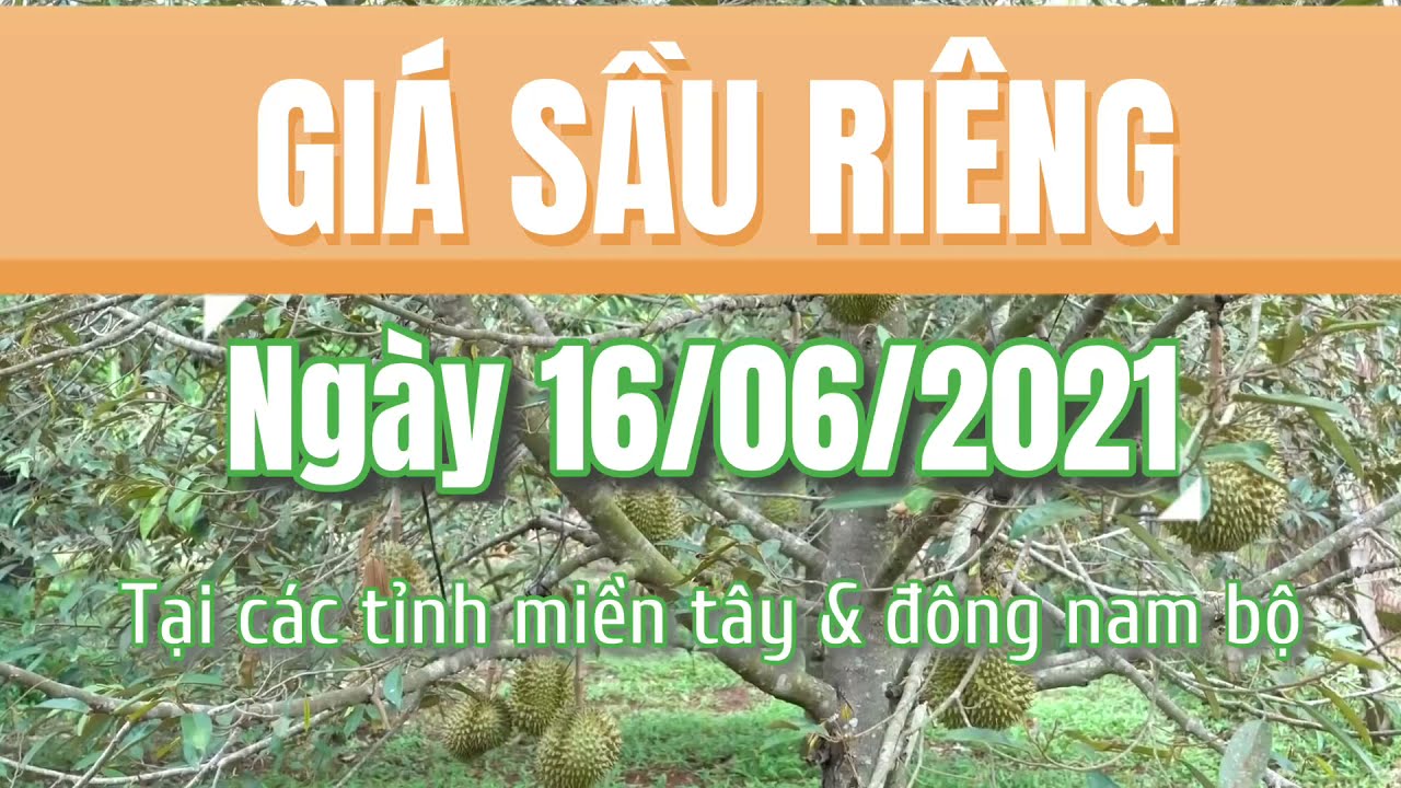 Vietnam durian prices June 16, 2021