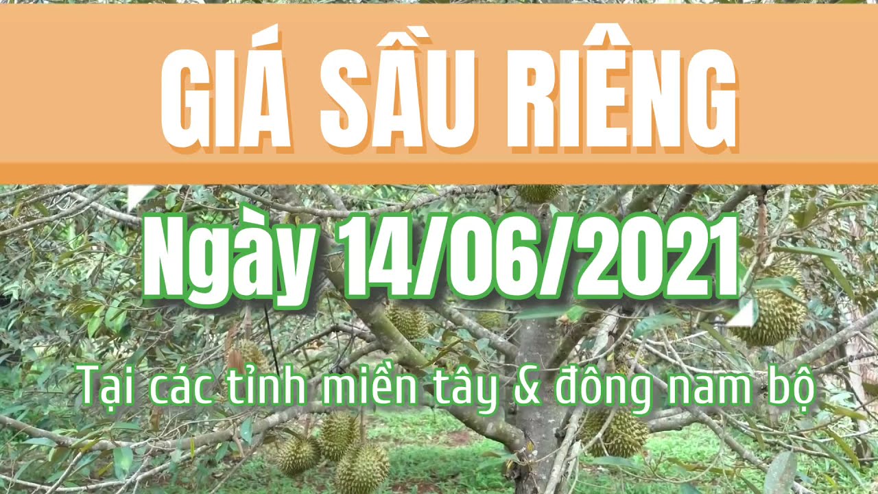 Vietnam durian prices June 14, 2021