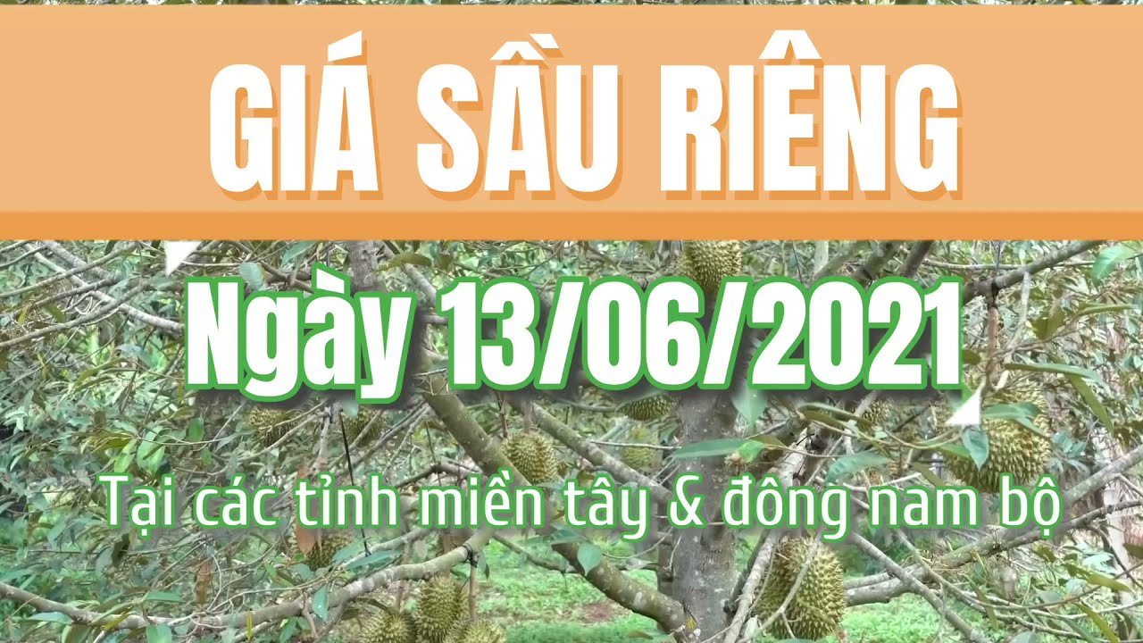 Vietnam durian prices June 13, 2021