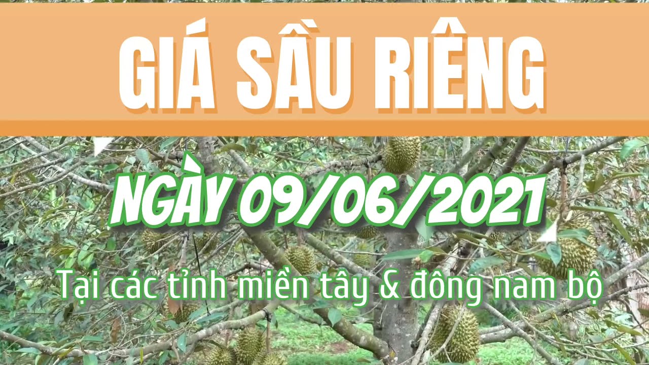 Vietnam durian prices June 9, 2021