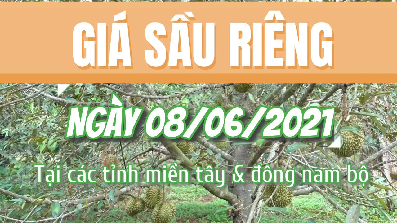 Vietnam durian prices June 8, 2021
