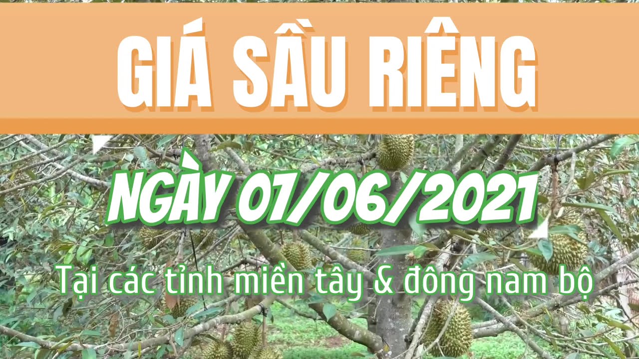 Vietnam durian prices June 7, 2021