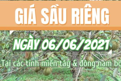 Vietnam durian prices June 6, 2021