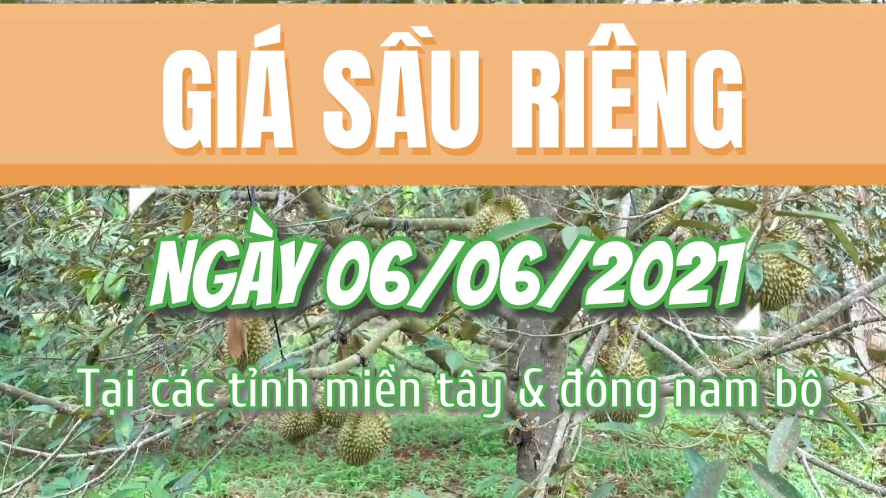 Vietnam durian prices June 6, 2021