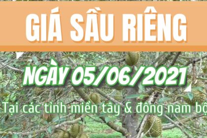 Vietnam durian prices June 5, 2021