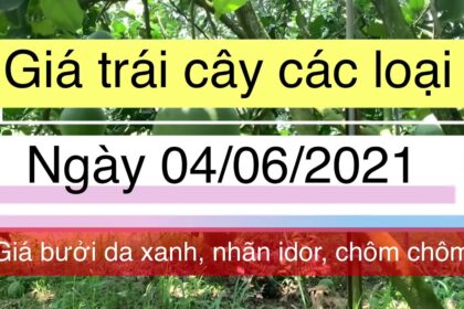 Vietnam fresh fruit prices June 4, 2021