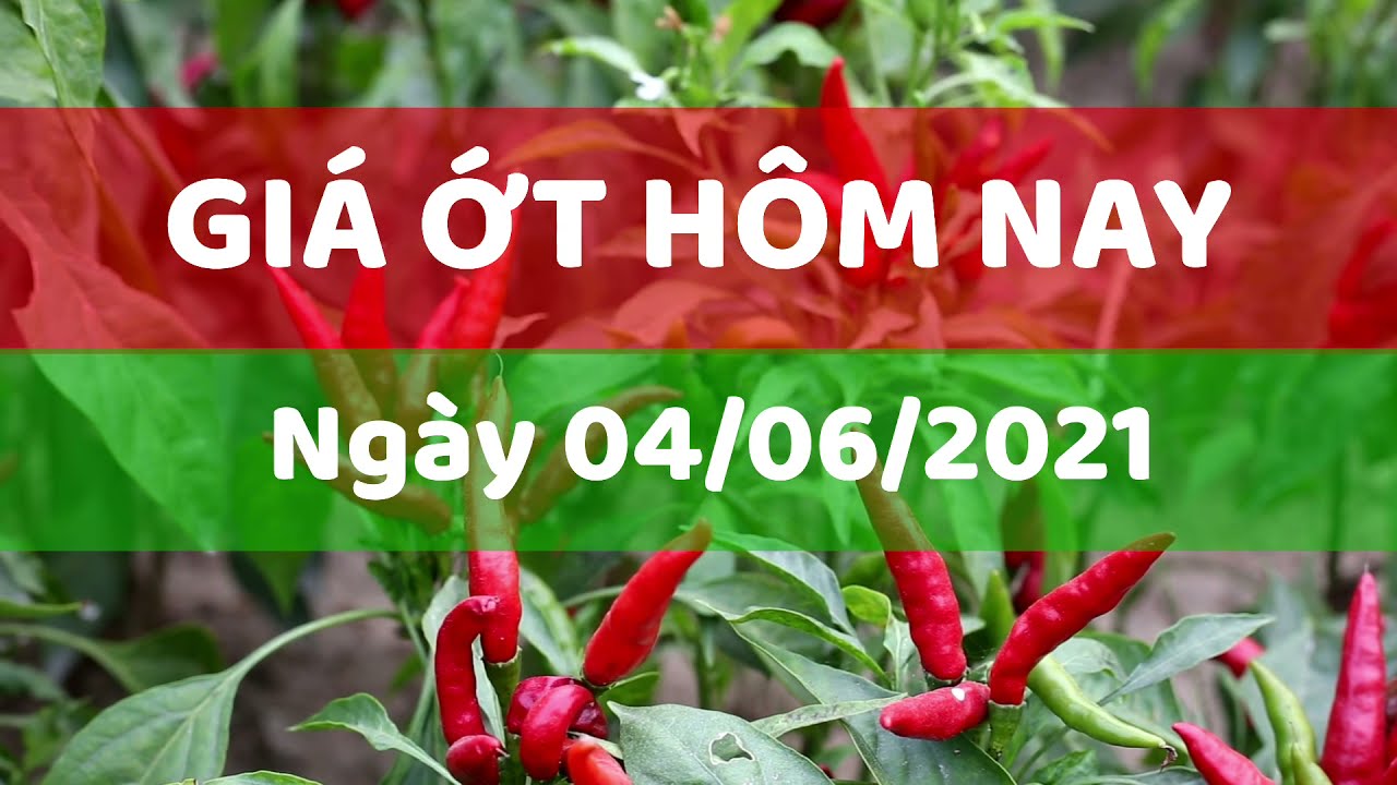 Vietnam chili prices June 4, 2021